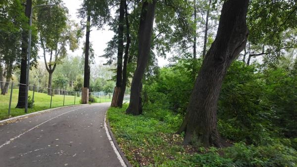 В Раменском городском парке подрядная организация приступила к благоустройству зоны отдыха у Борисоглебского озера