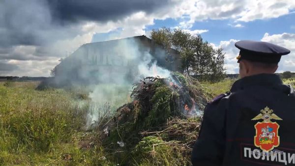 Сотрудники МУ МВД России «Раменское» в ходе профилактической операции «Мак-2025»