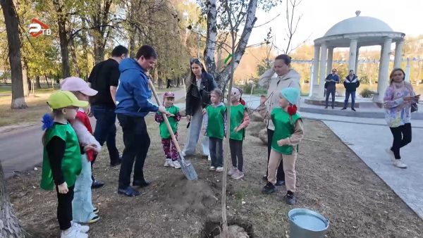 День в лесу. Сохраним лес вместе