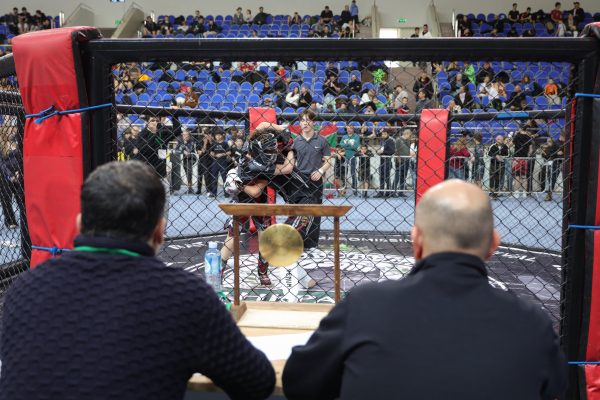 Спортсмены со всей России приехали в Раменское побороться за Кубок России по панкратиону UBS (ЮБИЭС)