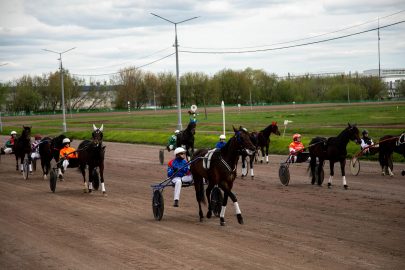 Ипподром – одна из визитных карточек Раменского округа